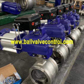 Pneumatic wafer type segmented ball valves