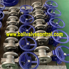 Worm gear flange type segmented ball valves