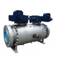 Trunnion mounted DBB ball valve