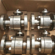 2PC Forged titanium ball valve