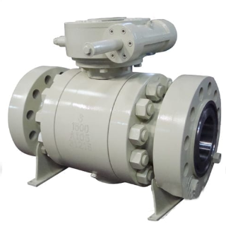 Forged steel Trunnion Mounted Ball Valve