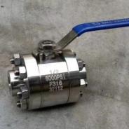 DN15 DN20 DN25 6000 PSI Ball Valve F304 F316